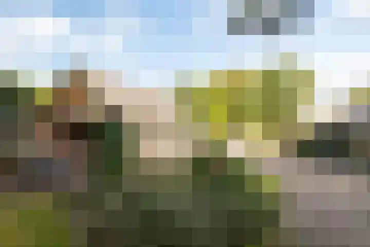 Hessenweg 23 A Putten thumbnail 32