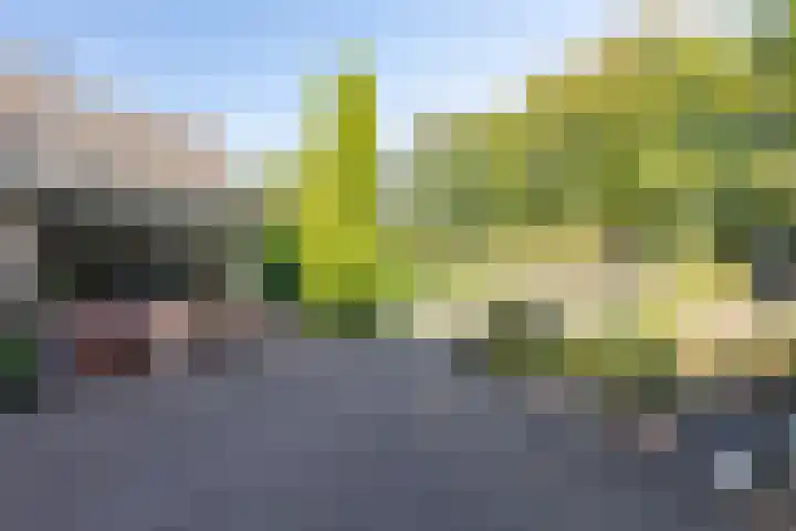 Hessenweg 23 A Putten thumbnail 43