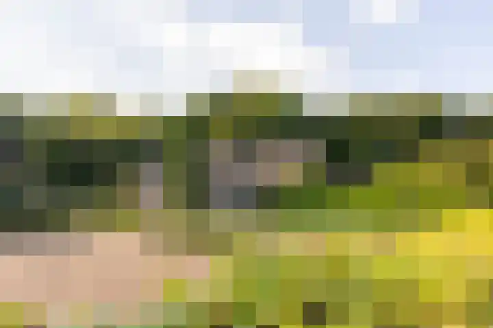 Hessenweg 23 A Putten thumbnail 5