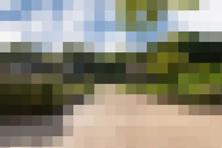 Hessenweg 23 A Putten thumbnail 6