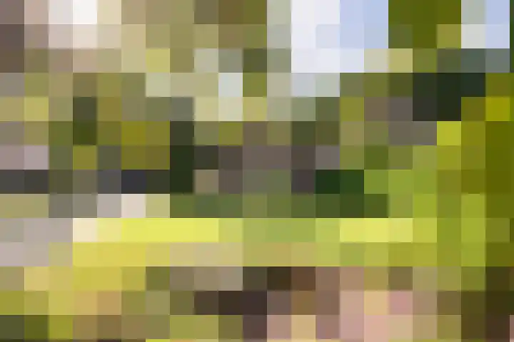 Hessenweg 23 A Putten thumbnail 7