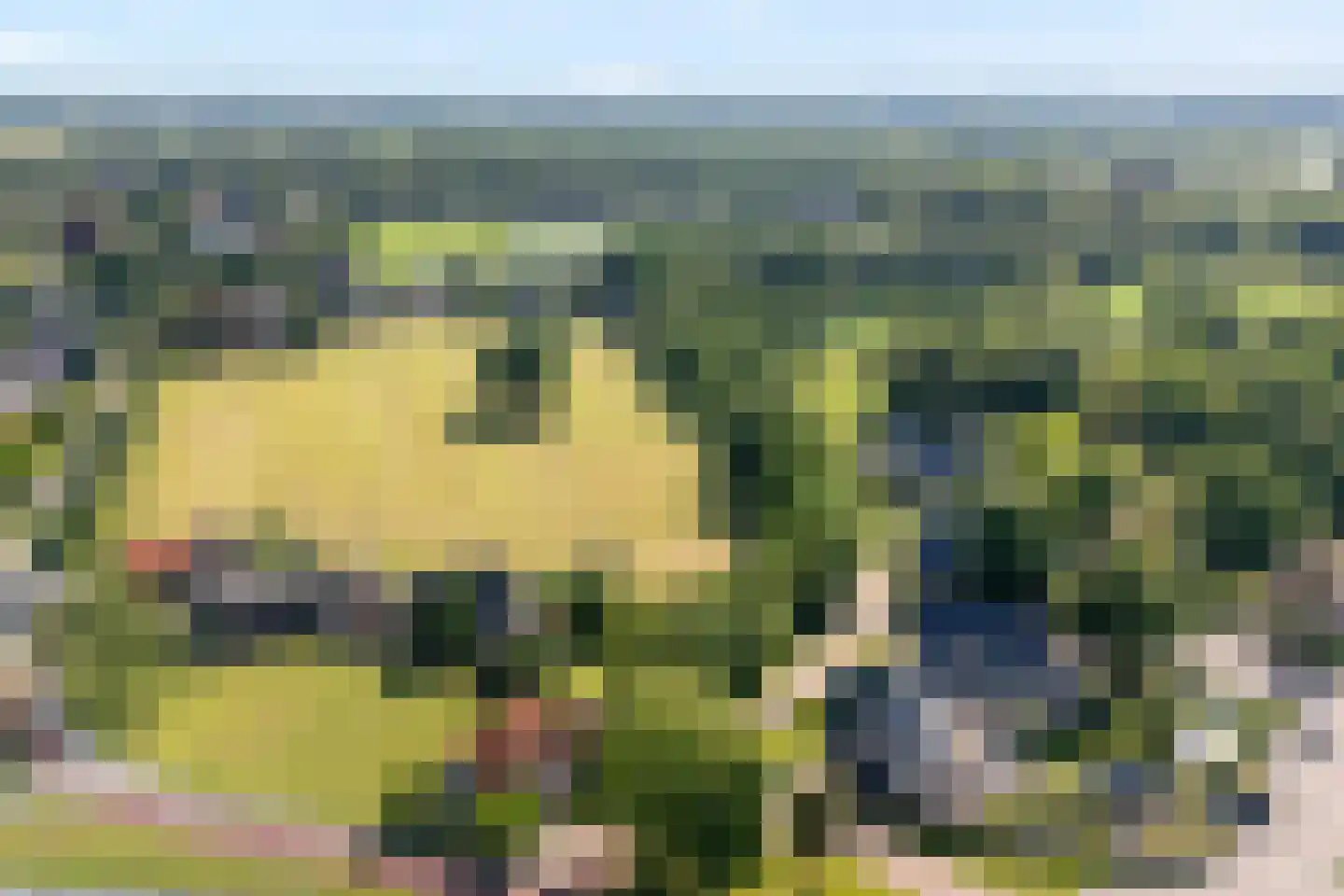 Hessenweg 31 c Hardenberg thumbnail 4