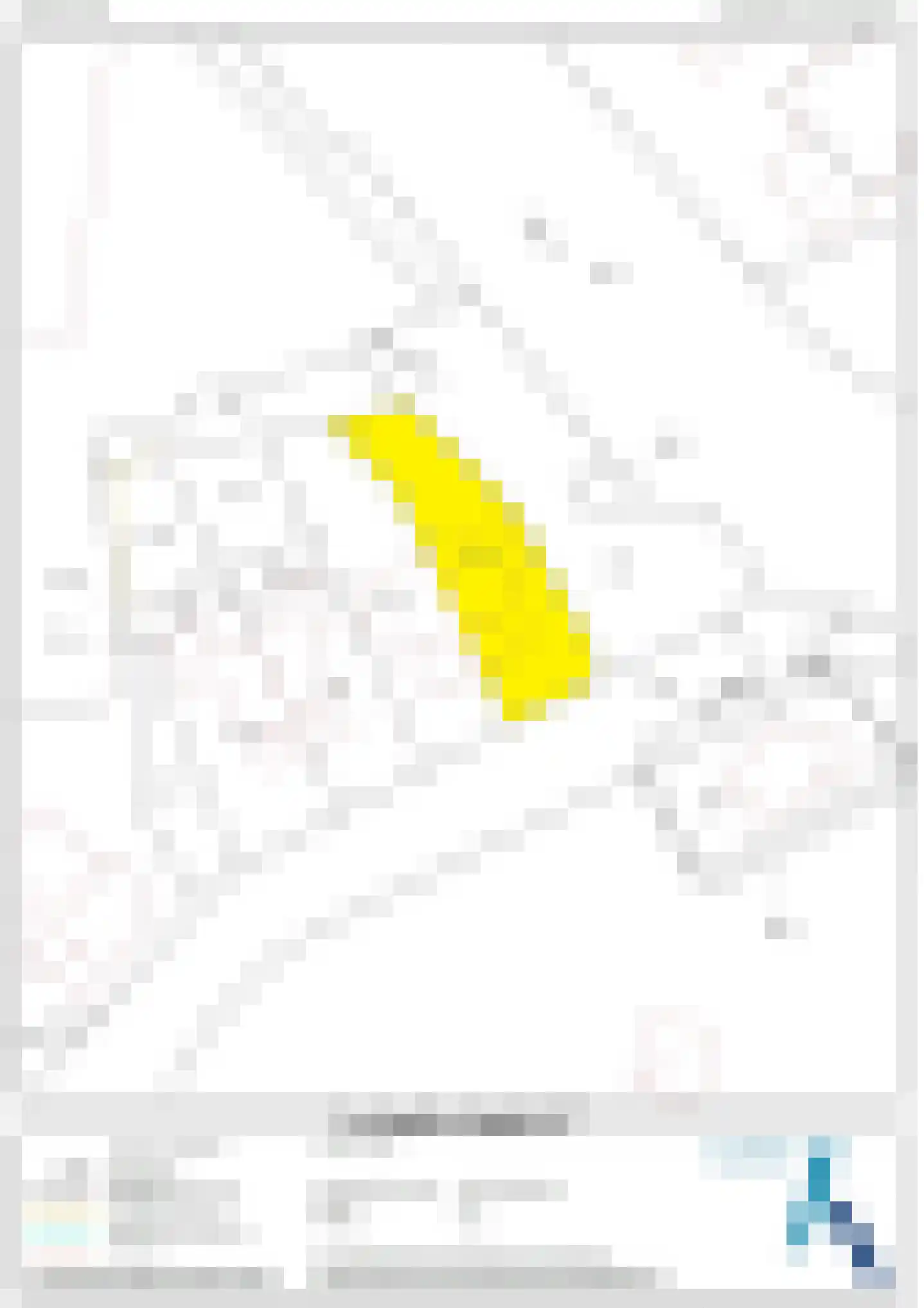 Hessenweg 31 c Hardenberg thumbnail 54