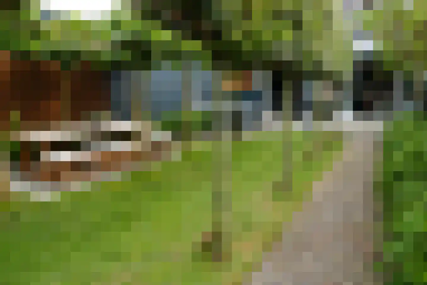 Hessenweg 331 Achterveld thumbnail 31