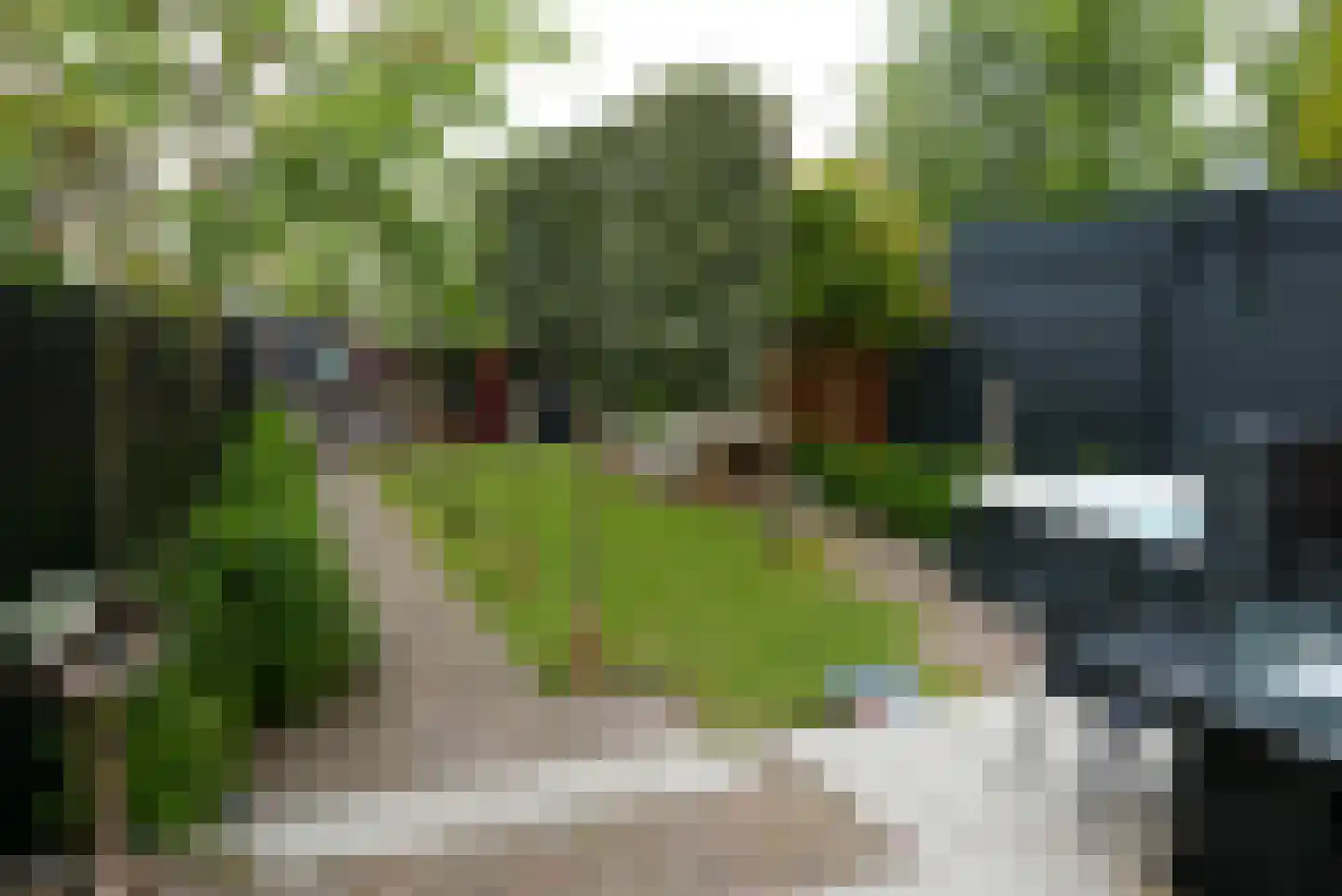 Hessenweg 331 Achterveld thumbnail 35