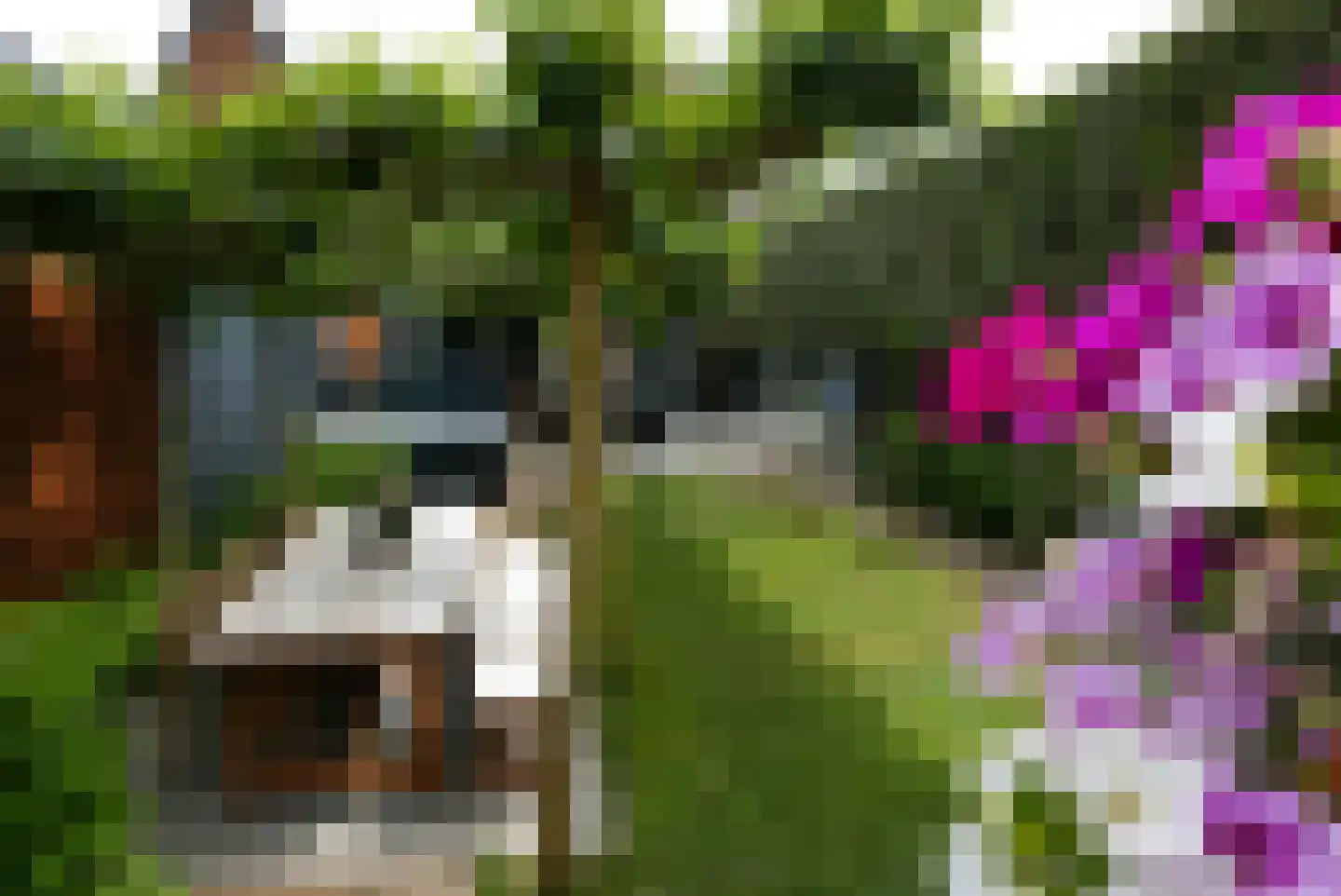 Hessenweg 331 Achterveld thumbnail 37