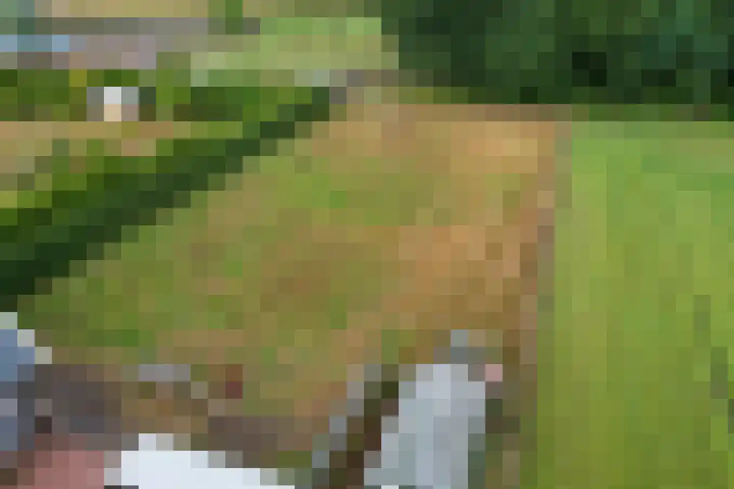 Hessenweg 6 Putten thumbnail 35