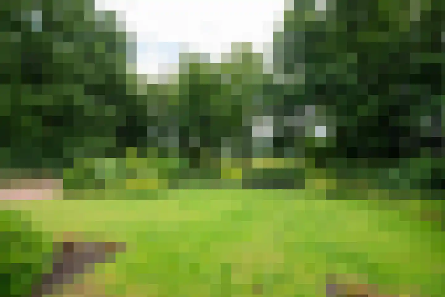 Hessenweg 6 Putten thumbnail 38