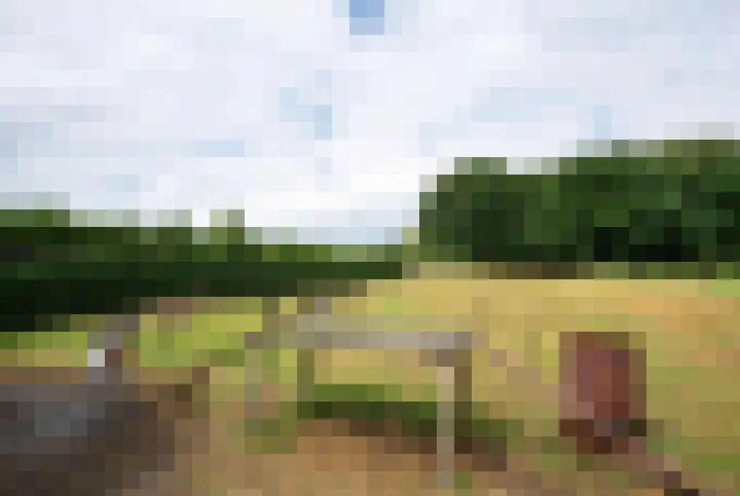 Hessenweg 6 Putten thumbnail 5
