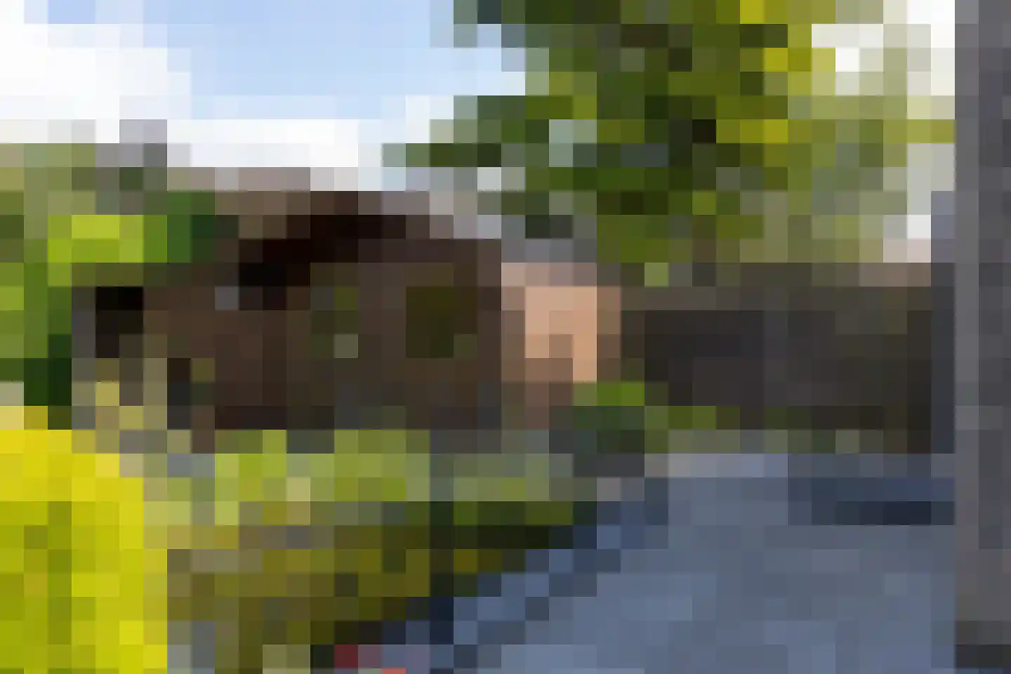 Hessenweg 8 A Hattem thumbnail 41