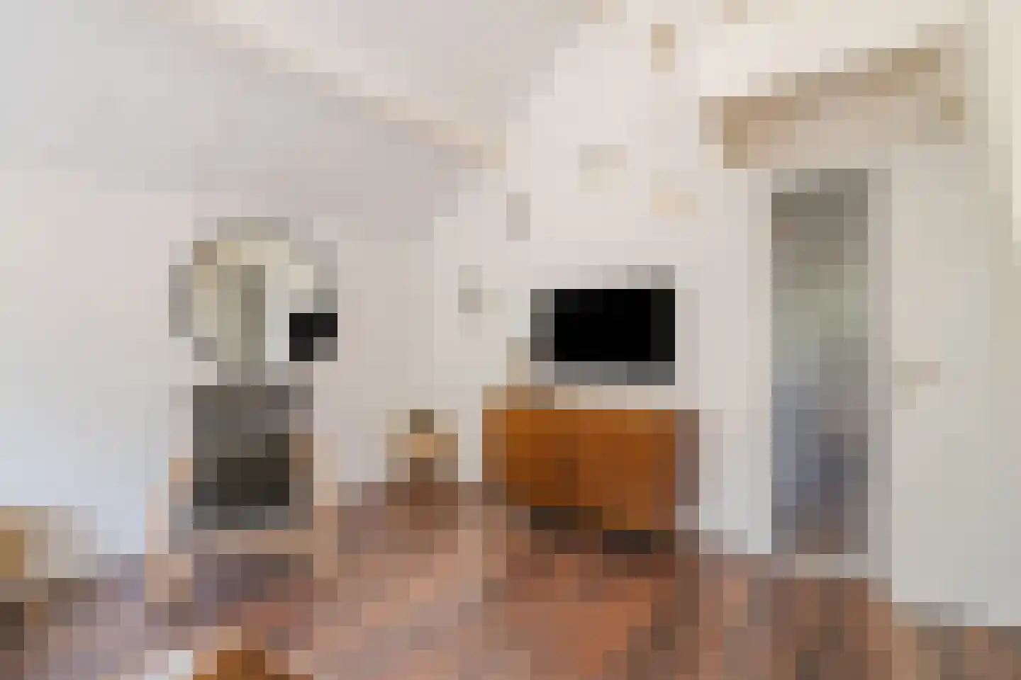 Hessenweg 83 1 Lunteren thumbnail 10