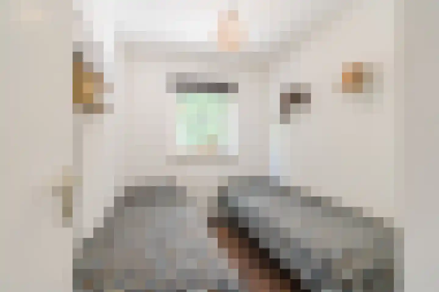 Hessenweg 83 1 Lunteren thumbnail 19