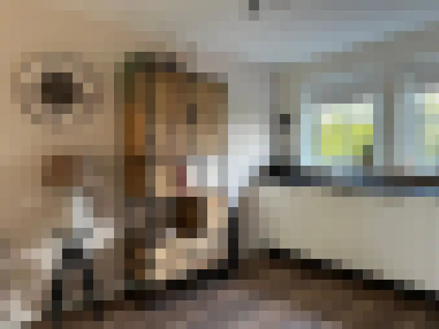 Hessenweg 83 100 Lunteren thumbnail 11