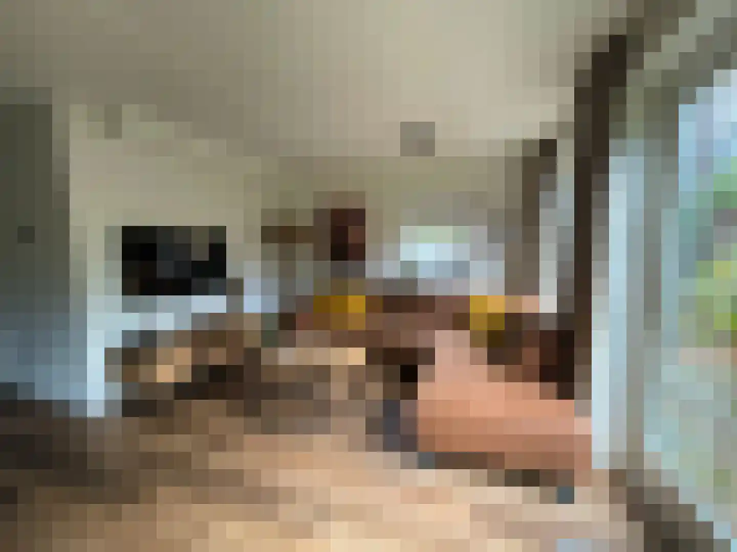 Hessenweg 83 100 Lunteren thumbnail 14