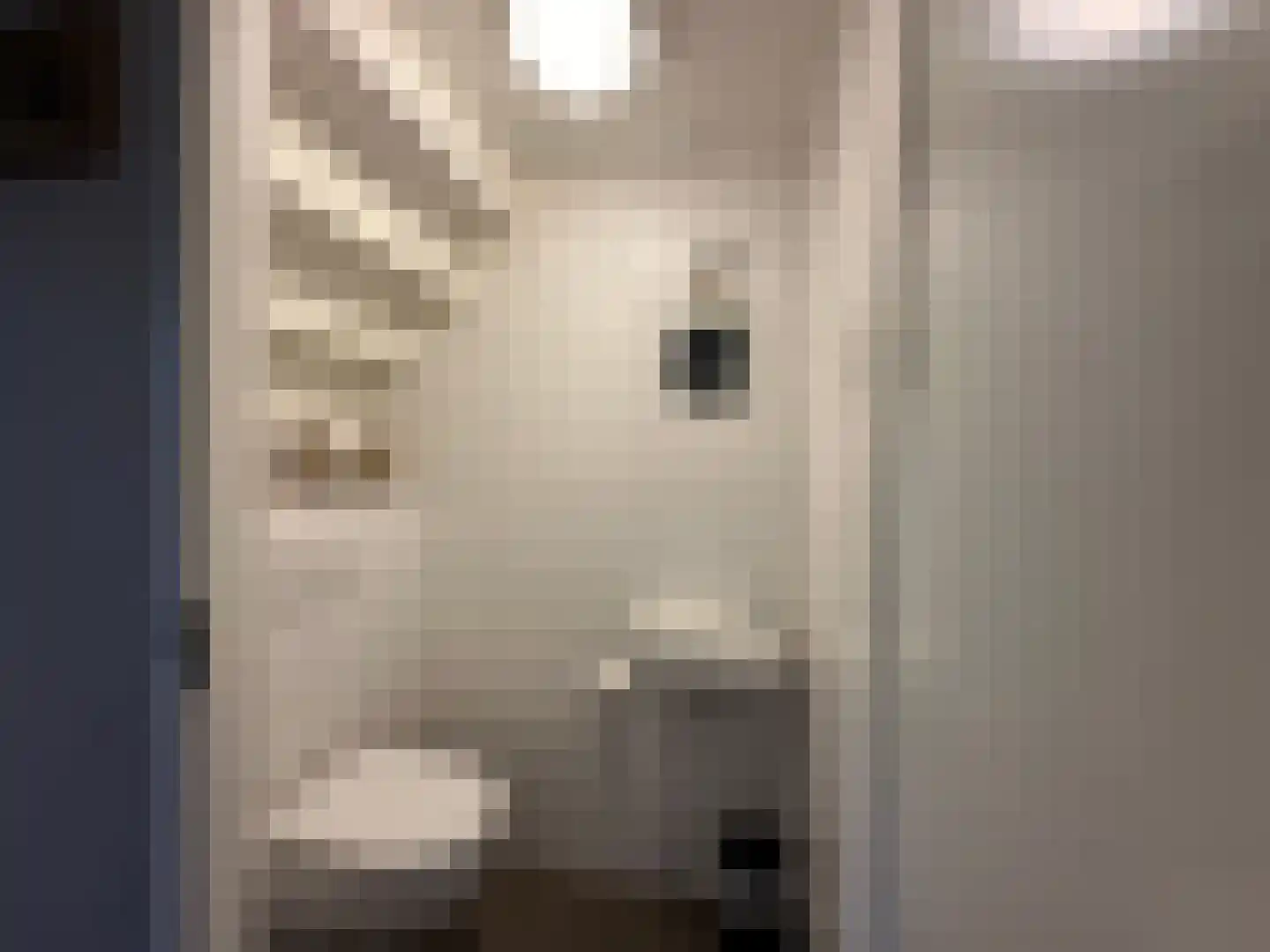 Hessenweg 83 100 Lunteren thumbnail 15