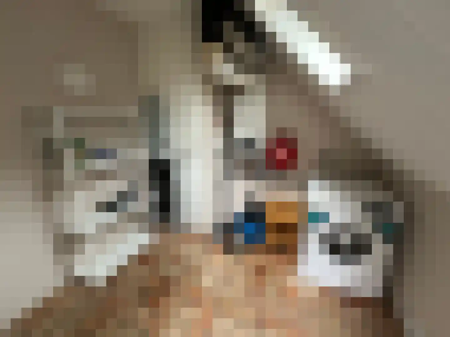 Hessenweg 83 100 Lunteren thumbnail 16