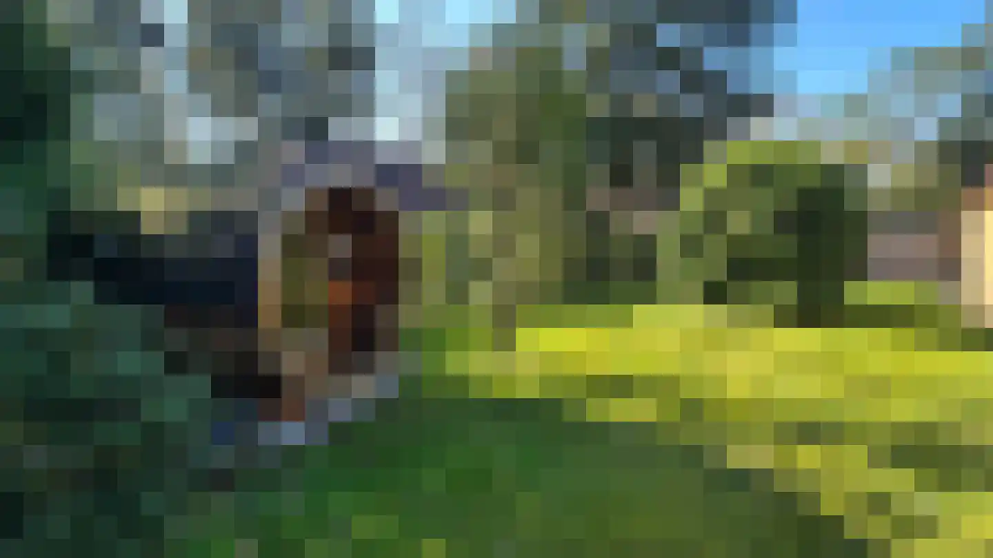 Hessenweg 83 100 Lunteren thumbnail 21