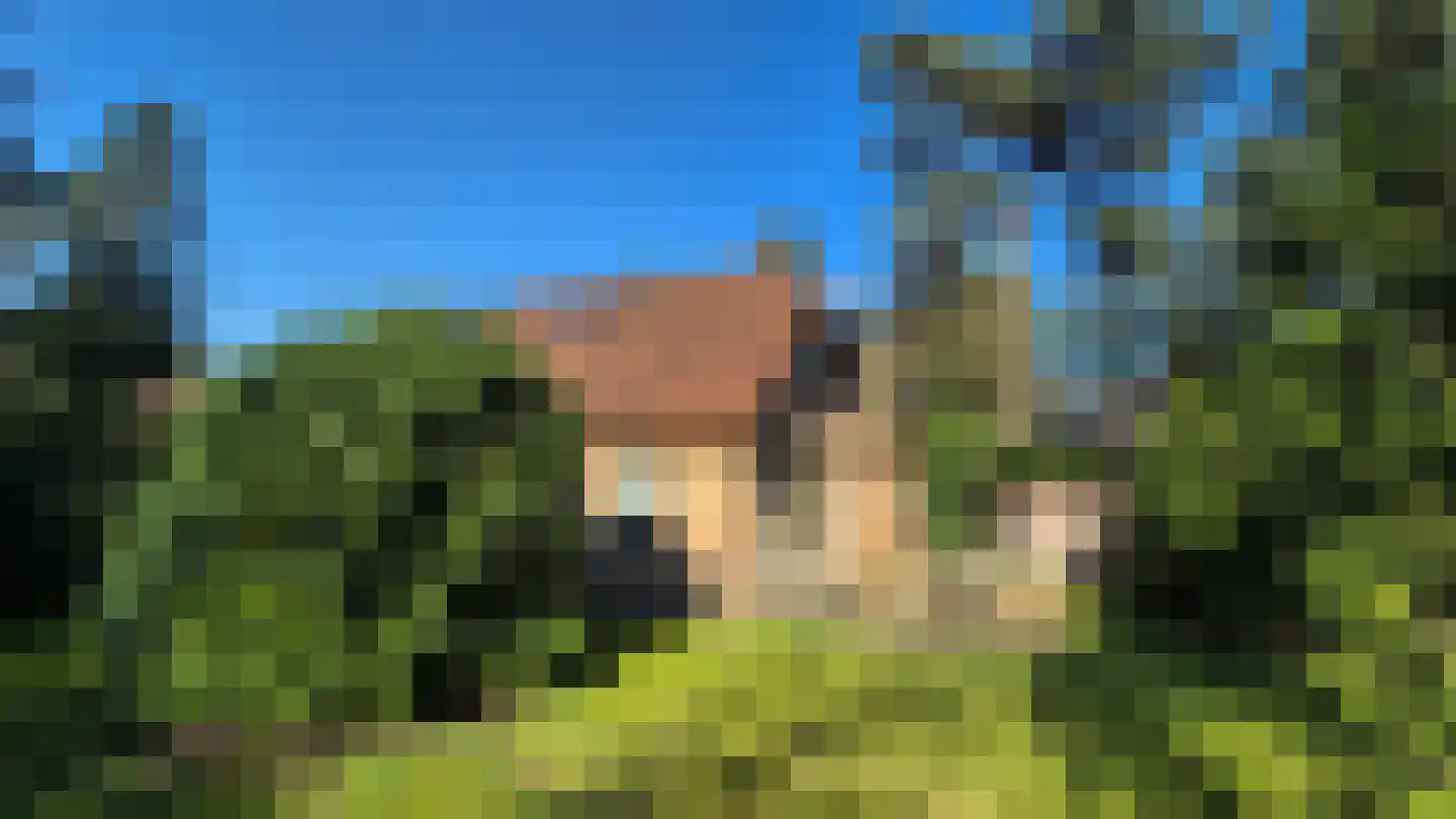 Hessenweg 83 100 Lunteren thumbnail 22