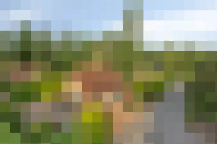 Hessenweg 83 103 Lunteren thumbnail 33
