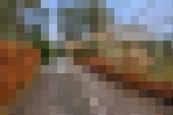 Hessenweg 83 105 Lunteren thumbnail 23