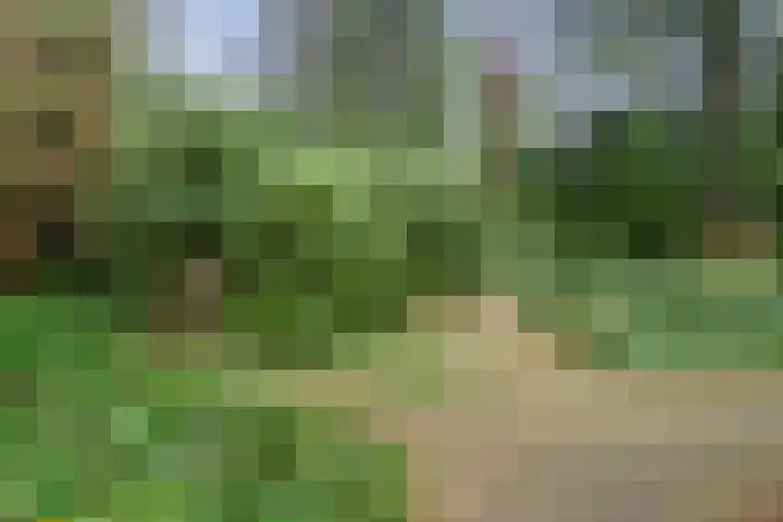 Hessenweg 83 105 Lunteren thumbnail 28