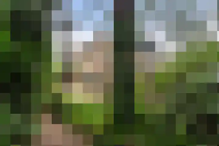 Hessenweg 83 105 Lunteren thumbnail 29