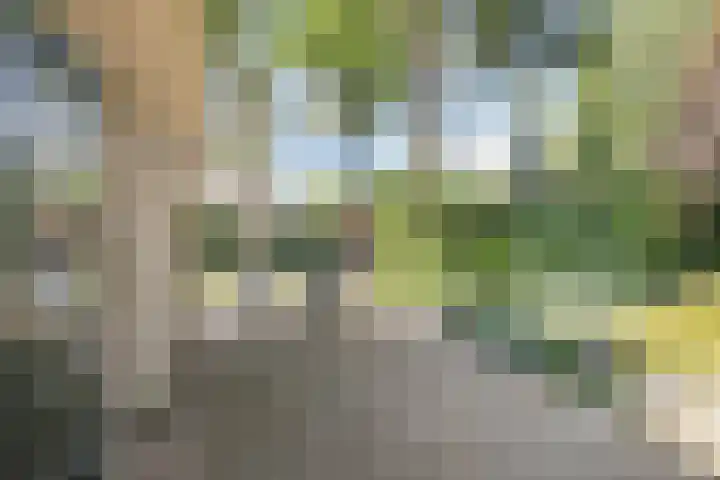 Hessenweg 83 108 Lunteren thumbnail 22