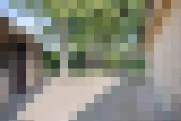 Hessenweg 83 108 Lunteren thumbnail 25