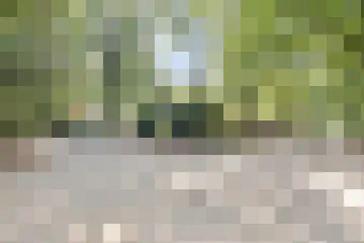 Hessenweg 83 108 Lunteren thumbnail 30