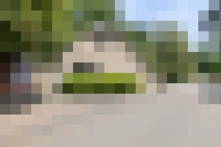 Hessenweg 83 108 Lunteren thumbnail 35