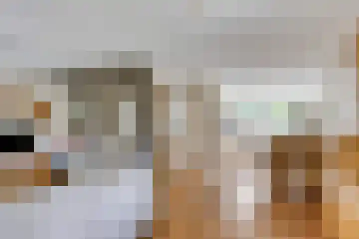 Hessenweg 83 108 Lunteren thumbnail 7