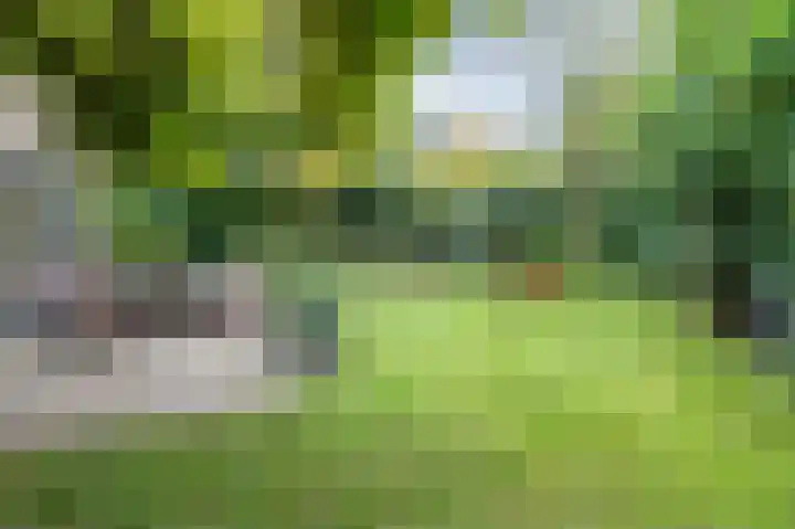 Hessenweg 83 127 Lunteren thumbnail 43