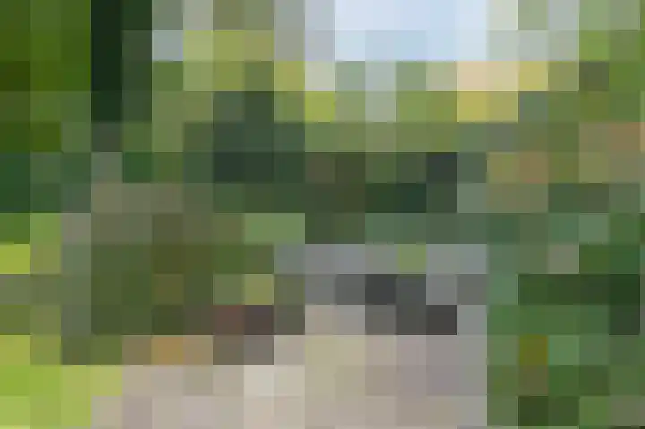 Hessenweg 83 127 Lunteren thumbnail 44