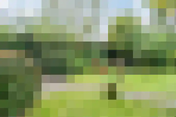 Hessenweg 83 127 Lunteren thumbnail 45