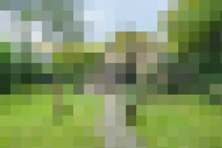 Hessenweg 83 127 Lunteren thumbnail 49