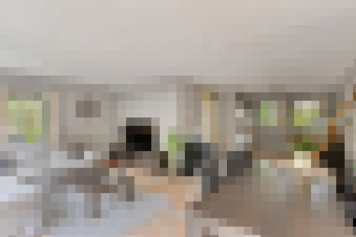 Hessenweg 83 18 Lunteren thumbnail 15