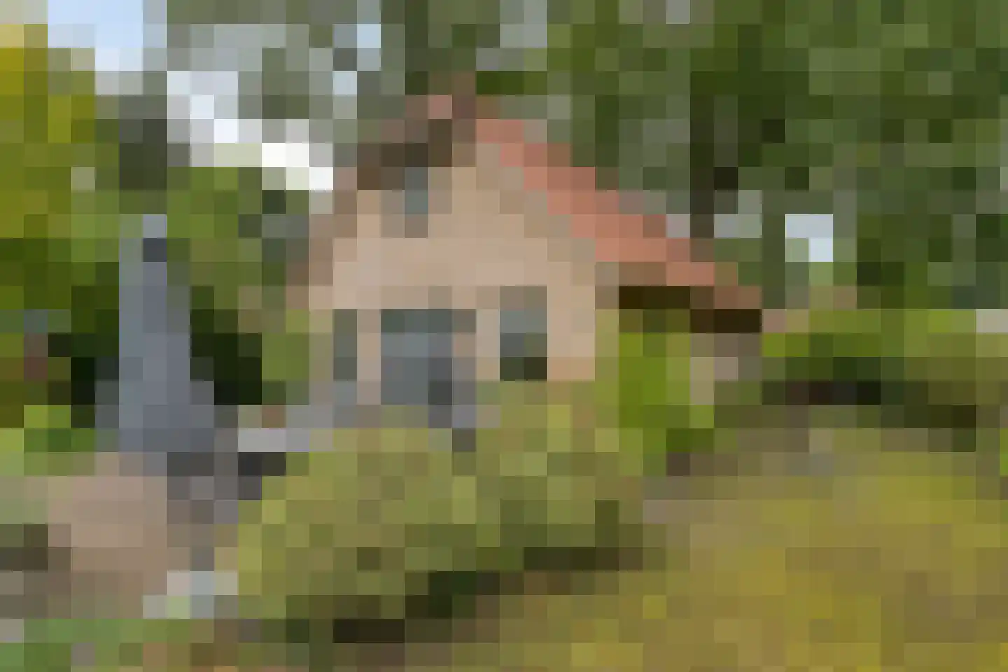 Hessenweg 83 18 Lunteren thumbnail 4