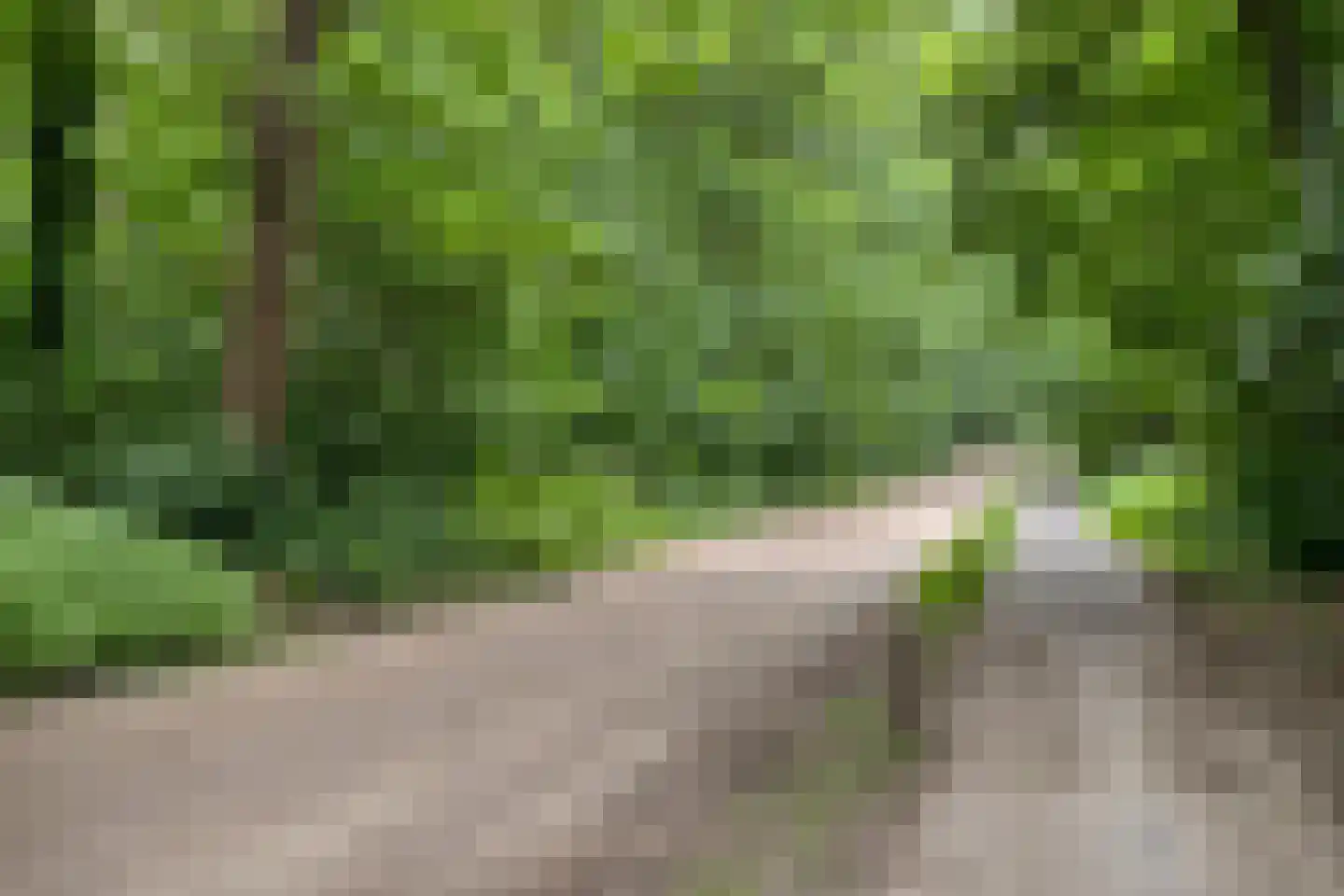 Hessenweg 83 18 Lunteren thumbnail 40