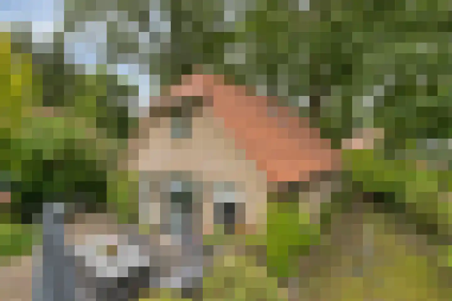 Hessenweg 83 18 Lunteren thumbnail 5
