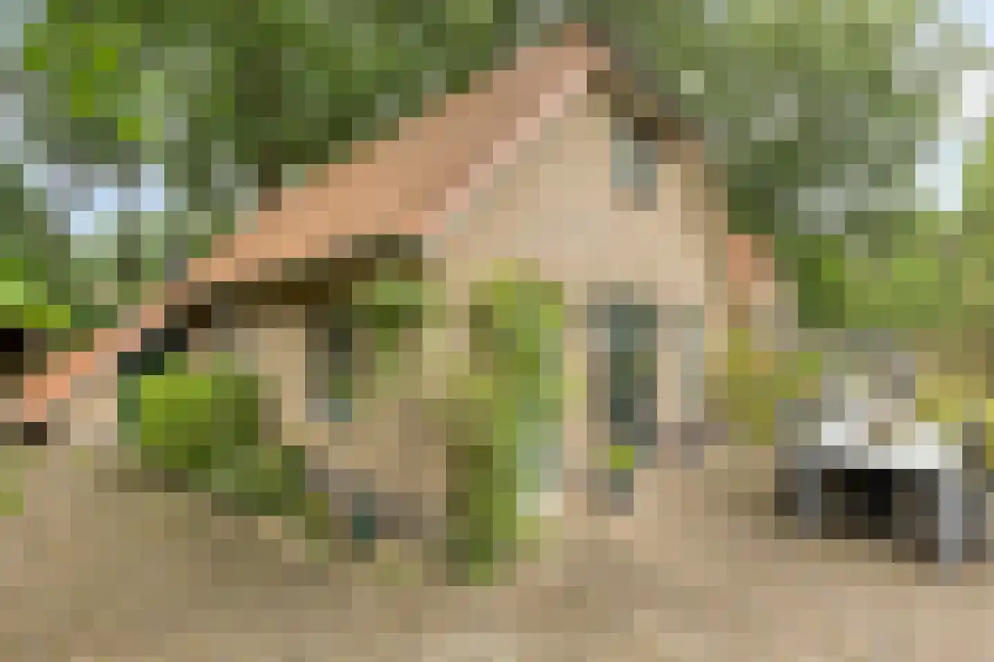 Hessenweg 83 18 Lunteren thumbnail 7