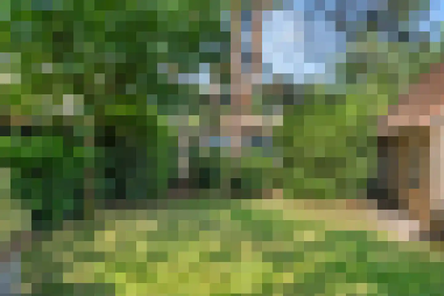 Hessenweg 83 58 Lunteren thumbnail 34