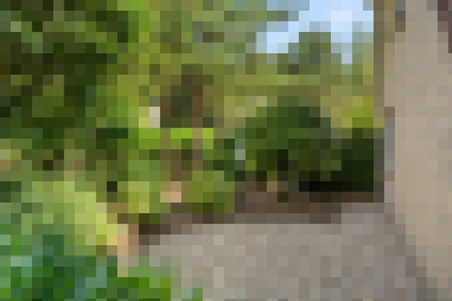 Hessenweg 83 58 Lunteren thumbnail 36