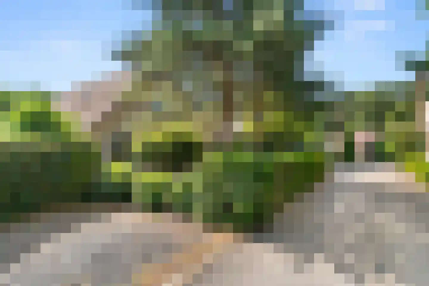 Hessenweg 83 58 Lunteren thumbnail 38