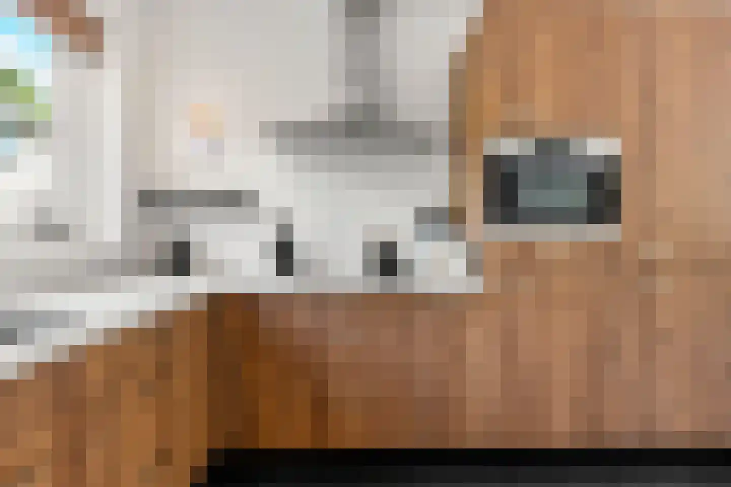 Hessenweg 83 59 Lunteren thumbnail 10