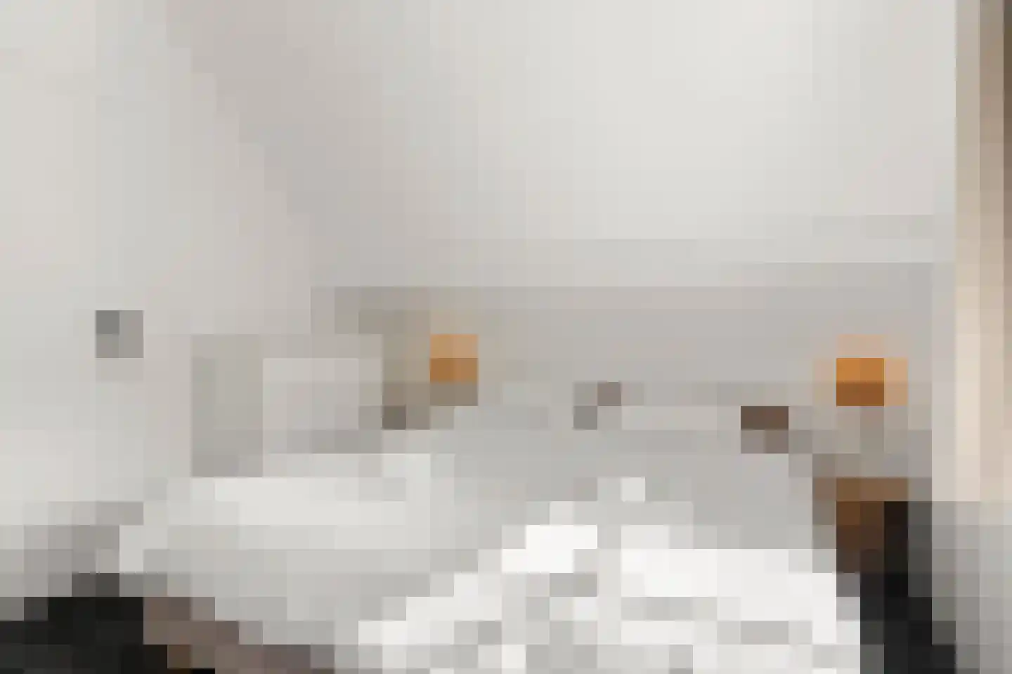 Hessenweg 83 59 Lunteren thumbnail 24