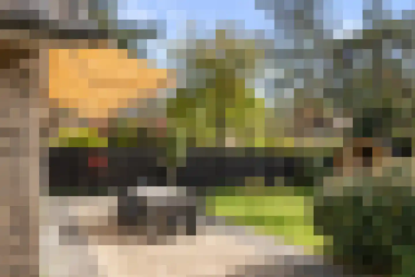 Hessenweg 83 59 Lunteren thumbnail 29