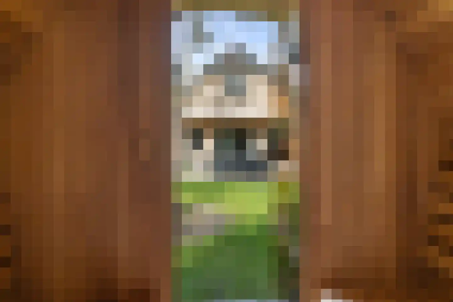 Hessenweg 83 59 Lunteren thumbnail 33