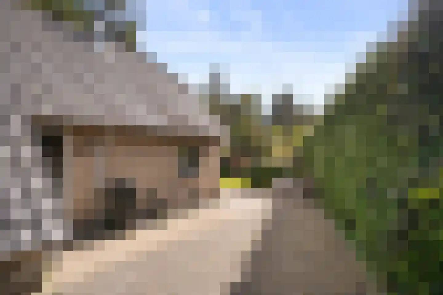 Hessenweg 83 59 Lunteren thumbnail 36