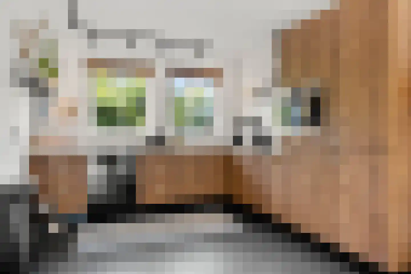 Hessenweg 83 59 Lunteren thumbnail 9
