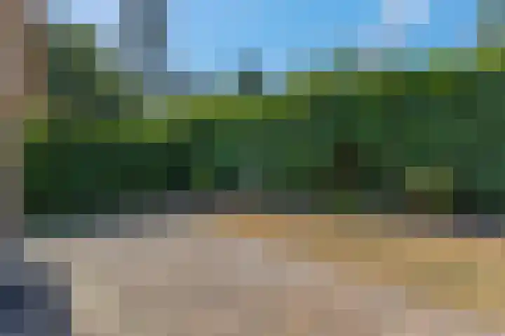 Hessenweg 83 64 Lunteren thumbnail 20